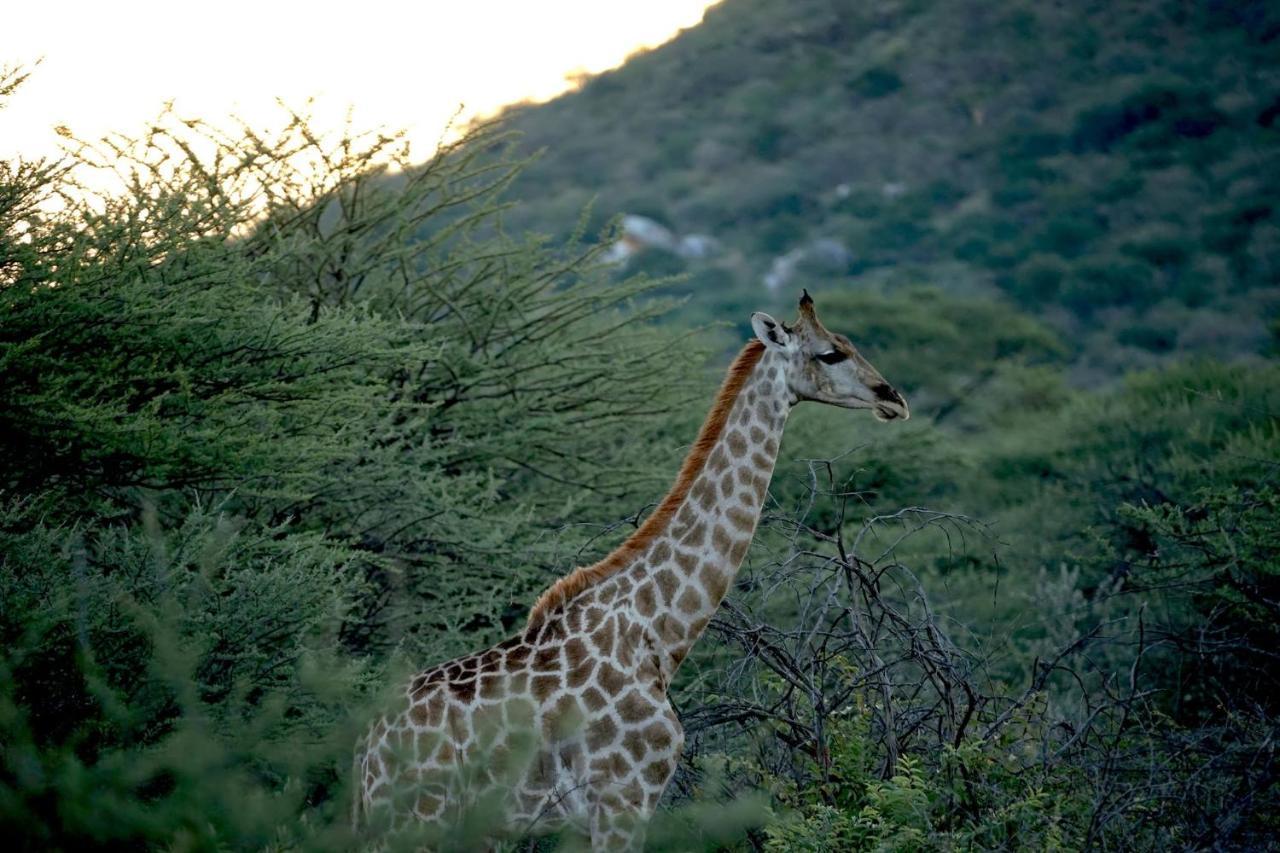 Roidina Safari Lodge Omaruru Exterior foto