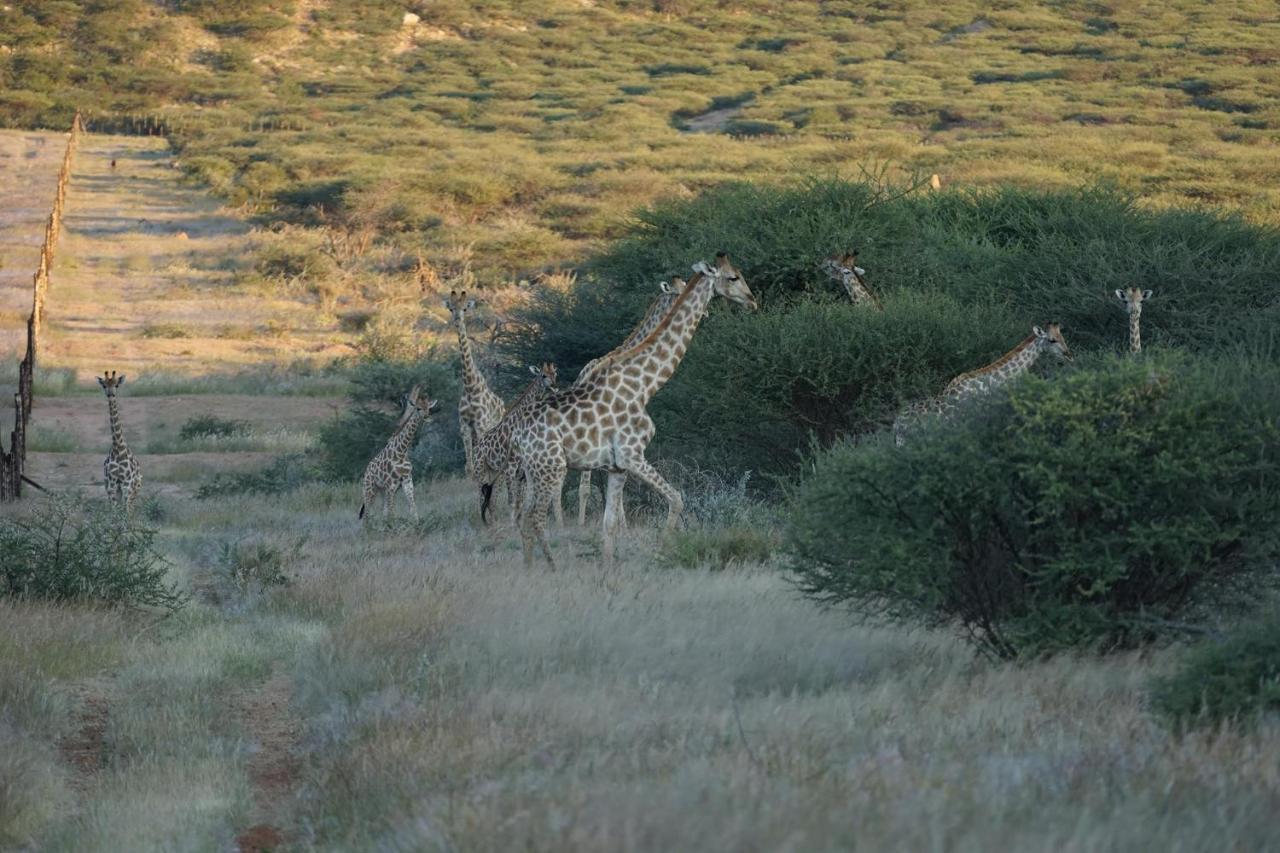 Roidina Safari Lodge Omaruru Exterior foto