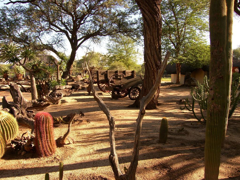 Roidina Safari Lodge Omaruru Exterior foto